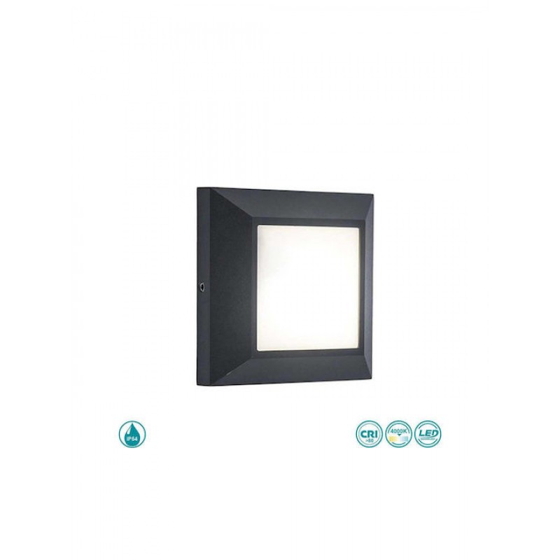 Lutec Helena Επιτοίχια Εξωτερική Πλαφονιέρα LED IP54 4W με Φυσικό Λευκό Φως 10.1x10.1x3.2εκ. Κωδικός: 6402101118