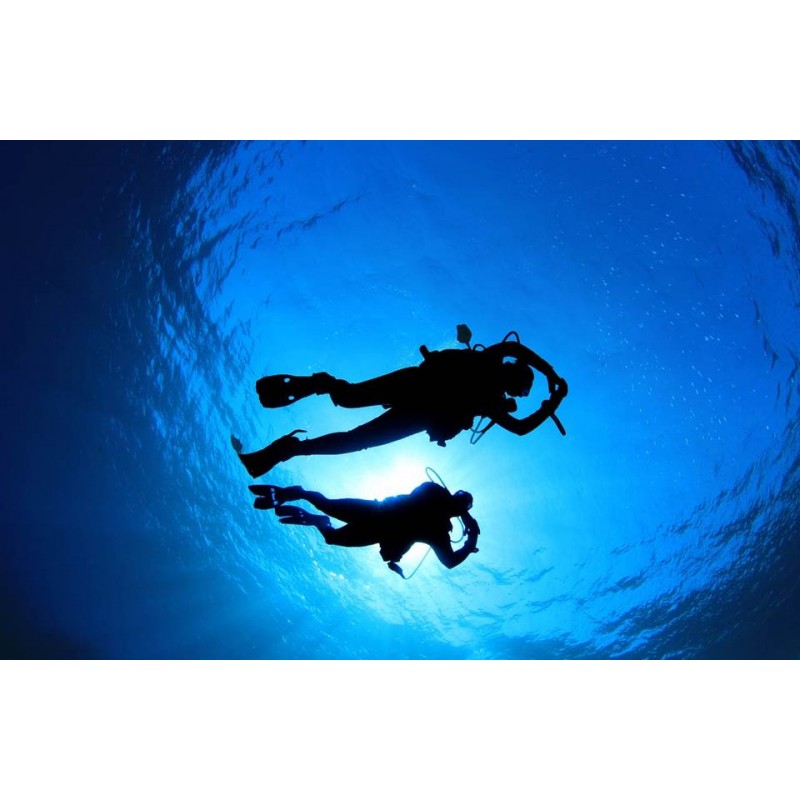 Καταδύσεις 