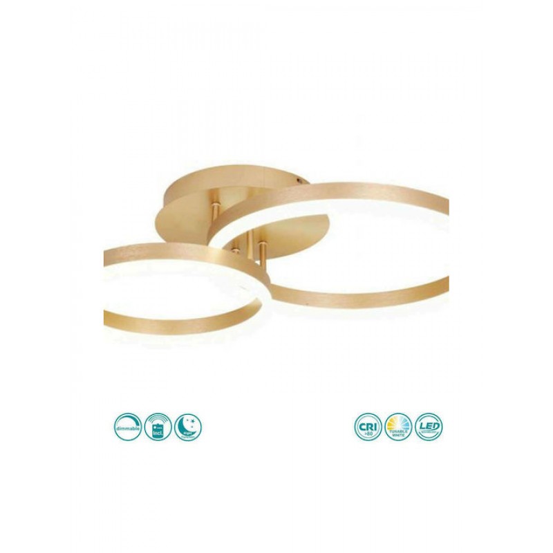 Sun Light Μοντέρνα Μεταλλική Πλαφονιέρα Οροφής με Ενσωματωμένο LED σε Χρυσό χρώμα 61cm Κωδικός: C88059/2