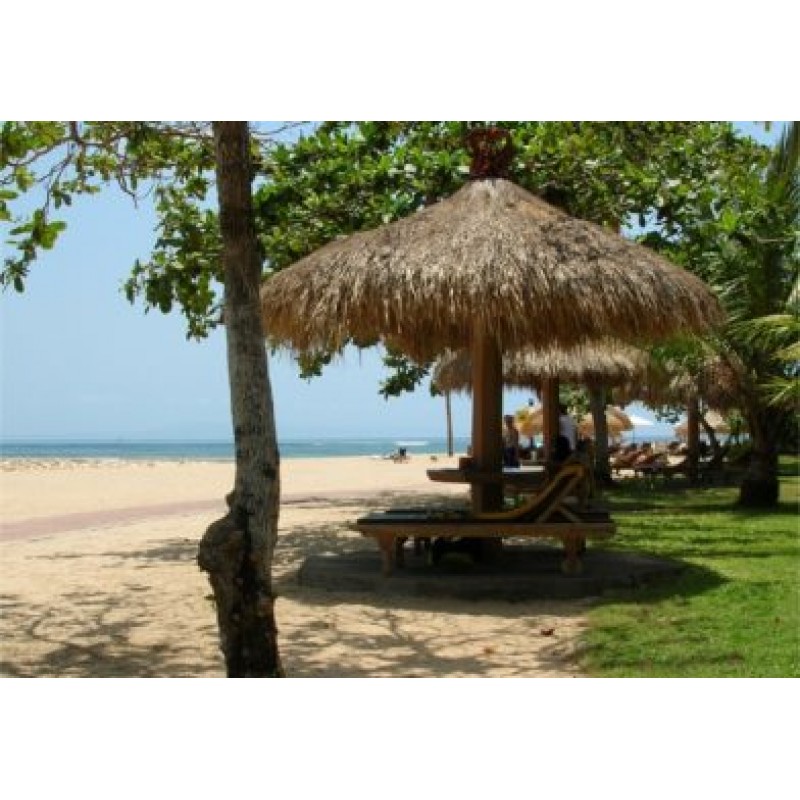 Ομπρέλα με χόρτο στρογγυλή ALANG ALANG  Φ2,10m