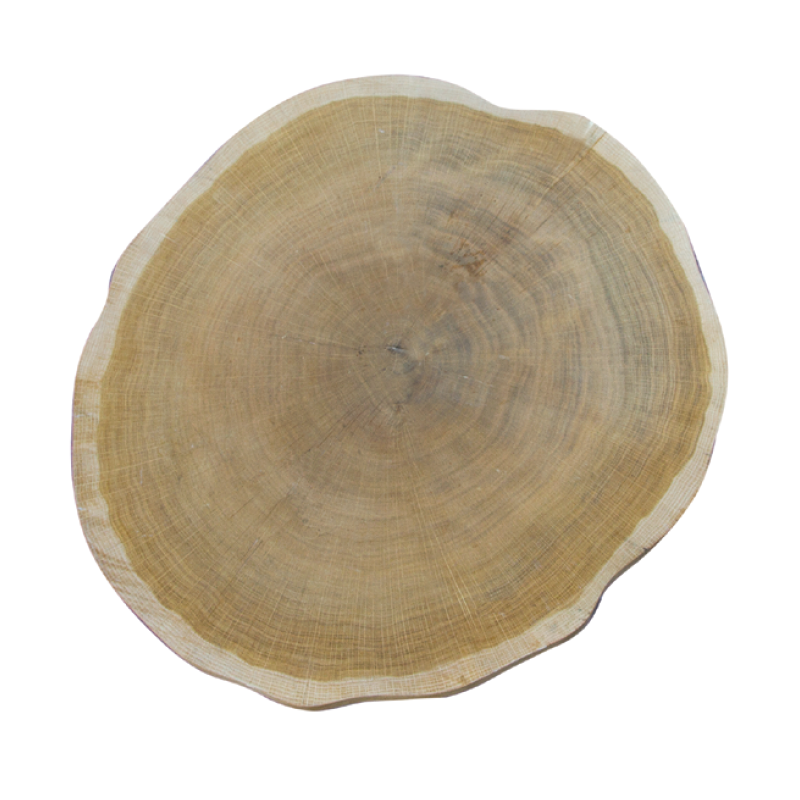 Επιφάνεια μασιφ   ακανόνιστο Φ 60Χ3 πάχος   Justshop  EP 100