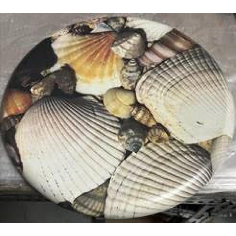 Werzalit ΑΧΙΒΑΔΑ Φ,40 CM  