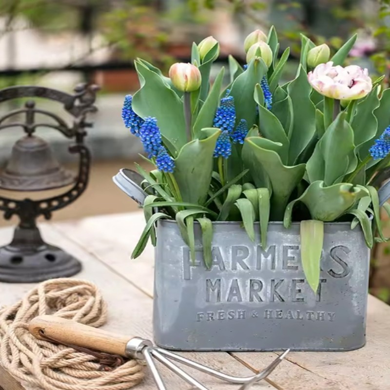 Artekko Planter Μεταλλικά Διακοσμητικά Κουβαδάκια Κασπό σε Λευκή Πατίνα (27x17x25)cm (22x14x13)cm 2pcs