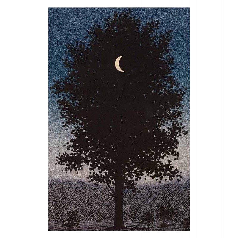 ΠΙΝΑΚΑΣ TOIXOY ΣΕΙΡΑ GOBI HM4850 ΕΚΤΥΠΩΜΕΝΟΣ ΚΑΜΒΑΣ 45x3(πάχος)x70Yεκ.