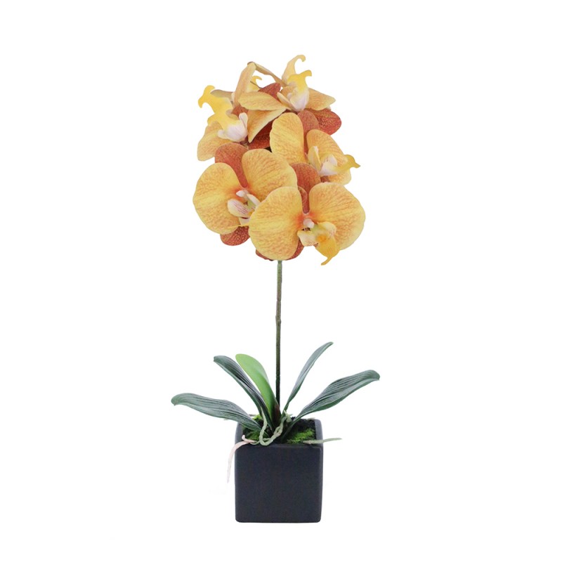 ORCHIDEA ΛΟΥΛΟΥΔΙ ΤΕΧΝΗΤΟ ΣΕ ΓΛΑΣΤΡΑ 63cm PEVA ΚΙΤΡΙΝΟ ΠΟΡΤΟΚΑΛΙ ΚΕΡΑΜΙΚΟ
