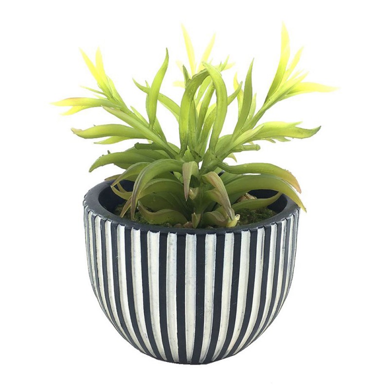 LAKHSMI 3 ΦΥΤΟ ΤΕΧΝΗΤΟ ΣΕ ΚΑΣΠΩ 13x13x18.5cm POLYRESIN ΜΑΥΡΟ ΛΕΥΚΟ ΠΡΑΣΙΝΟ