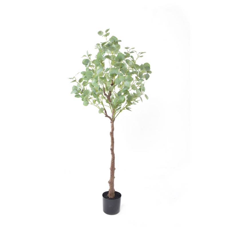 SILVER DOLLAR EUCALYPTUS ΔΕΝΤΡΟ ΤΕΧΝΗΤΟ ΣΕ ΓΛΑΣΤΡΑ 150cm PE ΠΡΑΣΙΝΟ ΜΕΤΑΞΩΤΟ ΥΦΑΣΜΑ