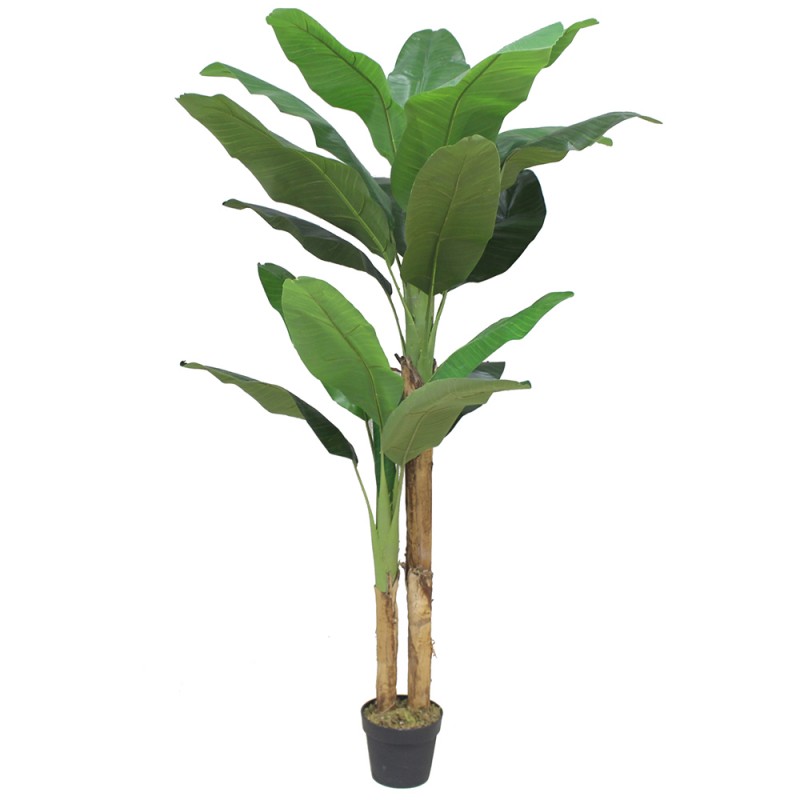 BANANA ΔΕΝΤΡΟ ΤΕΧΝΗΤΟ ΣΕ ΓΛΑΣΤΡΑ 180cm PEVA ΠΡΑΣΙΝΟ