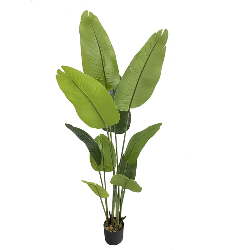 BANANA ΔΕΝΤΡΟ ΤΕΧΝΗΤΟ ΣΕ ΓΛΑΣΤΡΑ 180cm PEVA ΠΡΑΣΙΝΟ