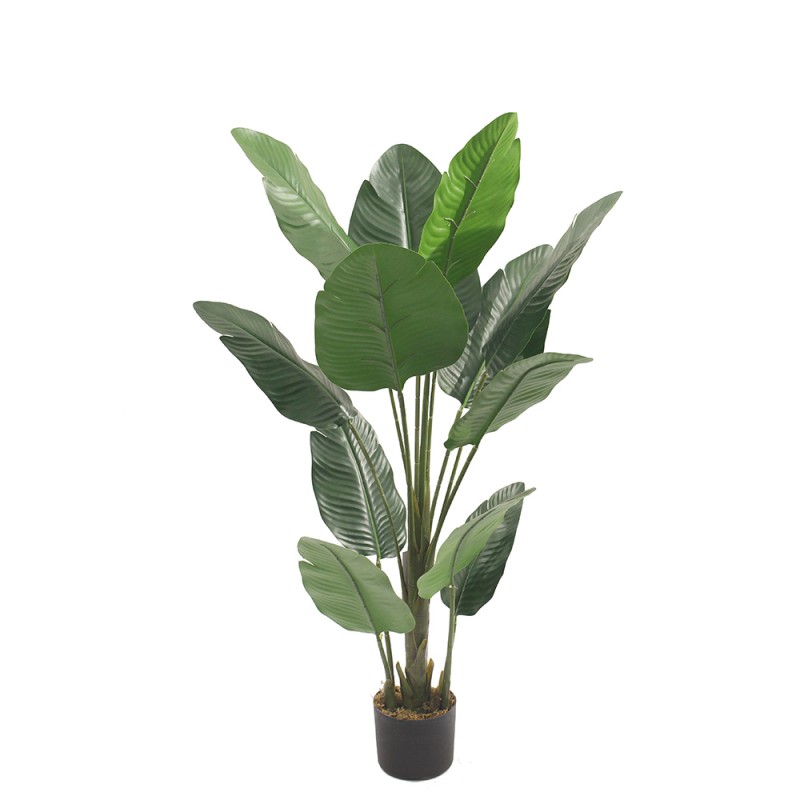 BANANA ΔΕΝΤΡΟ ΤΕΧΝΗΤΟ ΣΕ ΓΛΑΣΤΡΑ 120cm PEVA ΠΡΑΣΙΝΟ