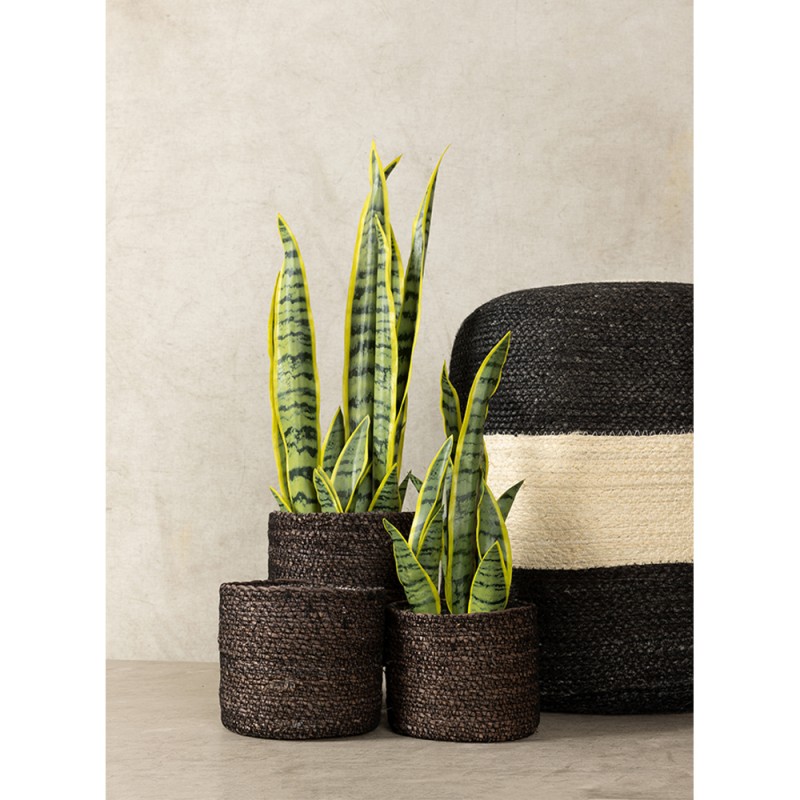 DEL MAR ΚΑΣΠΩ SET 3ΤΜΧ 20x20x18cm SEAGRASS ΜΑΥΡΟ