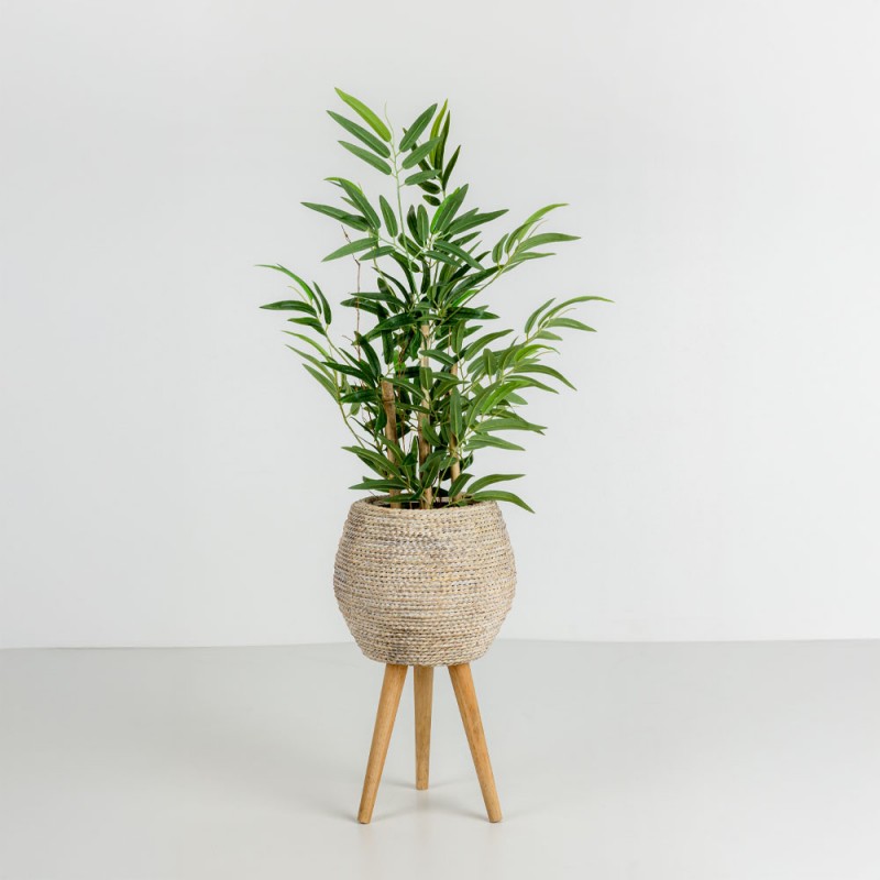 BAMBOO ΦΥΤΟ ΤΕΧΝΗΤΟ ΣΕ ΓΛΑΣΤΡΑ 70cm POLYESTER ΠΡΑΣΙΝΟ PVC