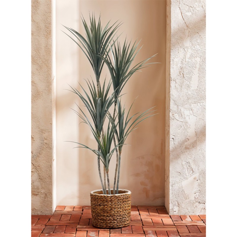 YUCCA ΔΕΝΤΡΟ ΤΕΧΝΗΤΟ ΣΕ ΓΛΑΣΤΡΑ 150cm PE ΠΡΑΣΙΝΟ