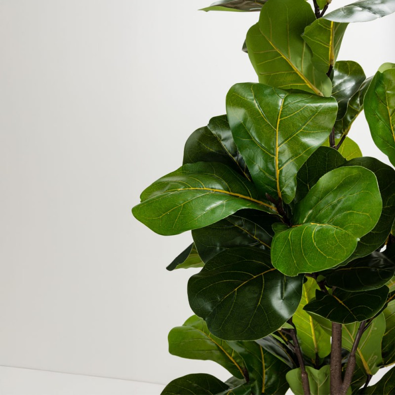 FICUS PANDURATA ΔΕΝΤΡΟ ΤΕΧΝΗΤΟ ΣΕ ΓΛΑΣΤΡΑ 180cm ΥΦΑΣΜΑ ΠΡΑΣΙΝΟ PVC