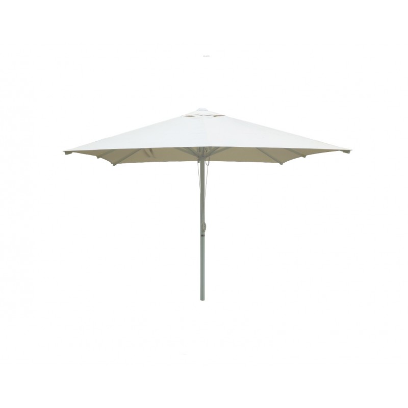 Umbrella Rock White