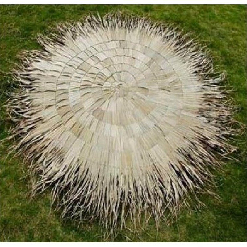 Fun Palm Cover 0.0000 x 0.0000 x 0.0000