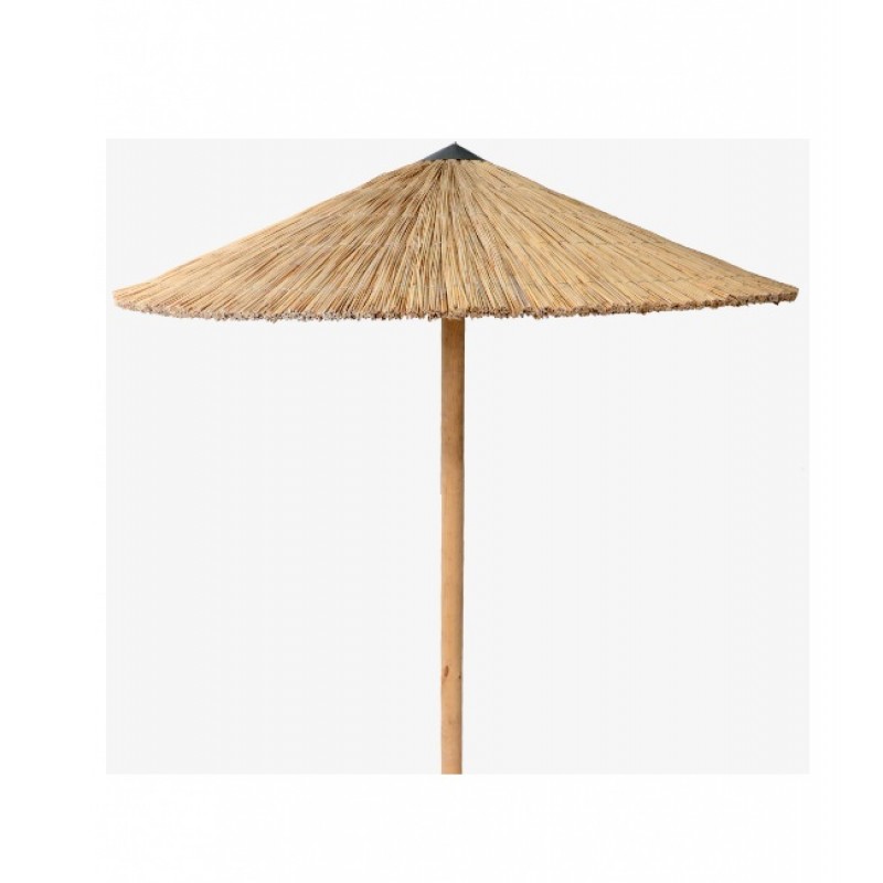 Umbrella Cane Φ215cm* 0.0000 x 0.0000 x 0.0000