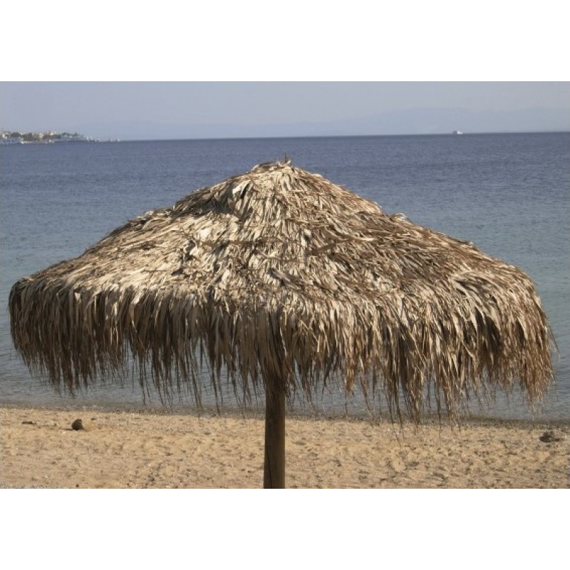 Fun Palm Umbrella 200.0000 x 200.0000 x 0.0000