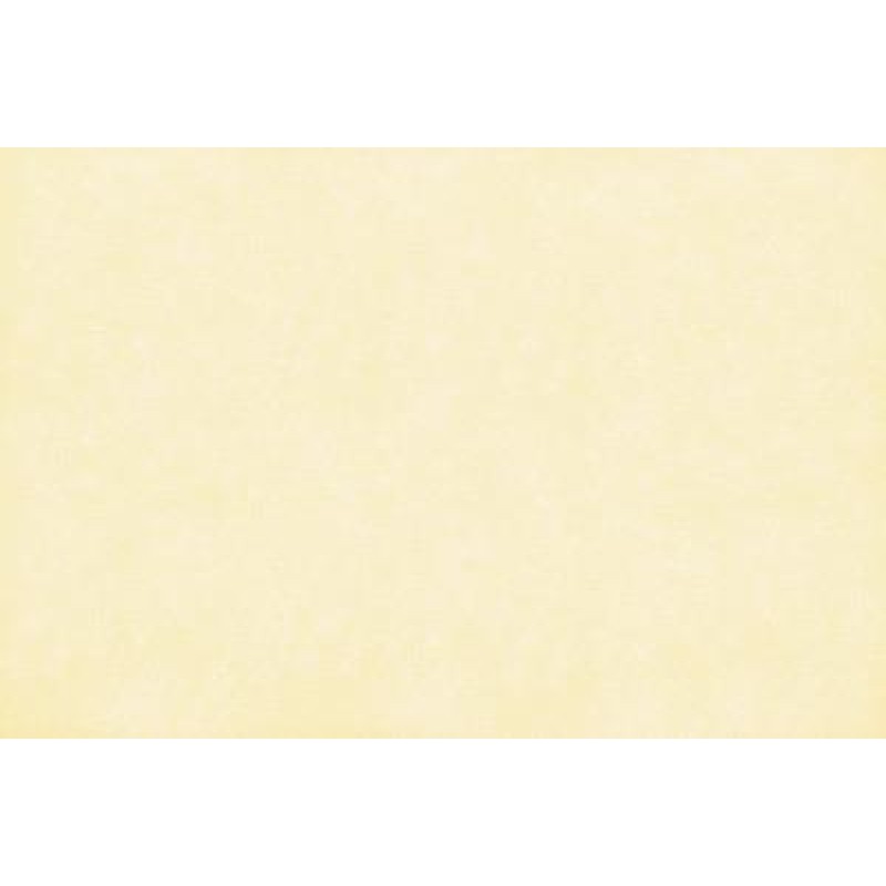 ΤΑΠΕΤΣΑΡΙΑ SALINASNEW 29001 NewPlan