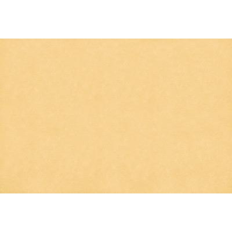 ΤΑΠΕΤΣΑΡΙΑ SALINASNEW 29005 NewPlan