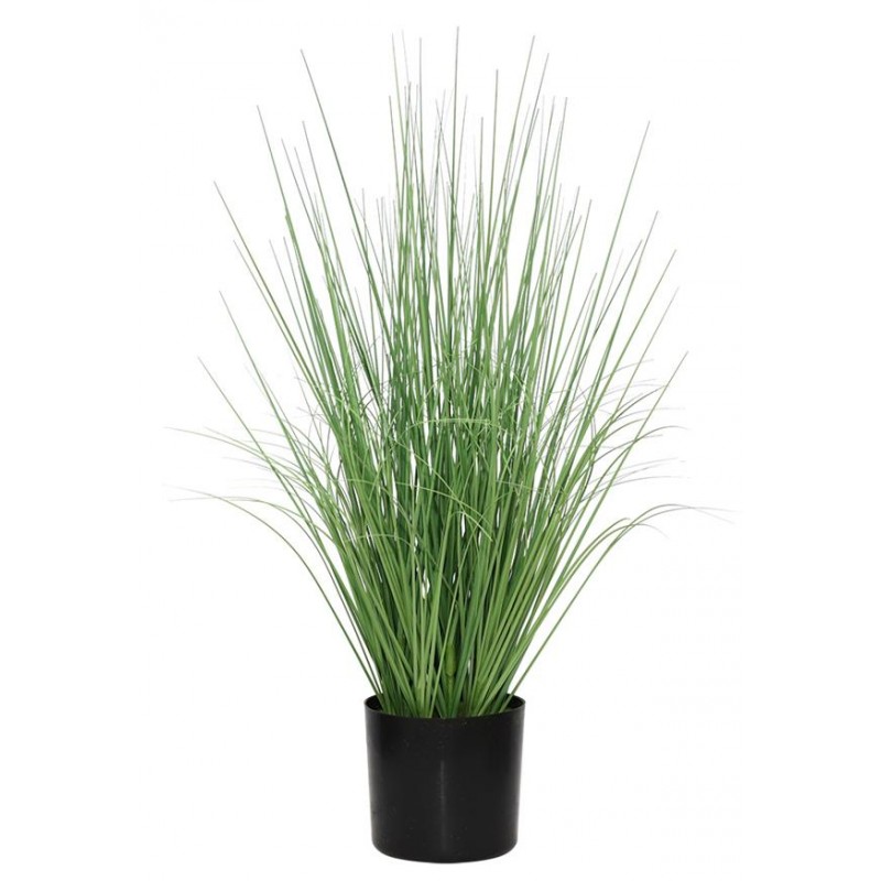 ONION GRASS TREE  NP1009_60 ΥΨΟΣ 60cm NewPlan