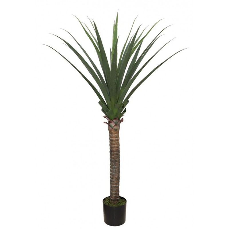 AGAVE TREE  NP802_160  ΥΨΟΣ 160cm NewPlan