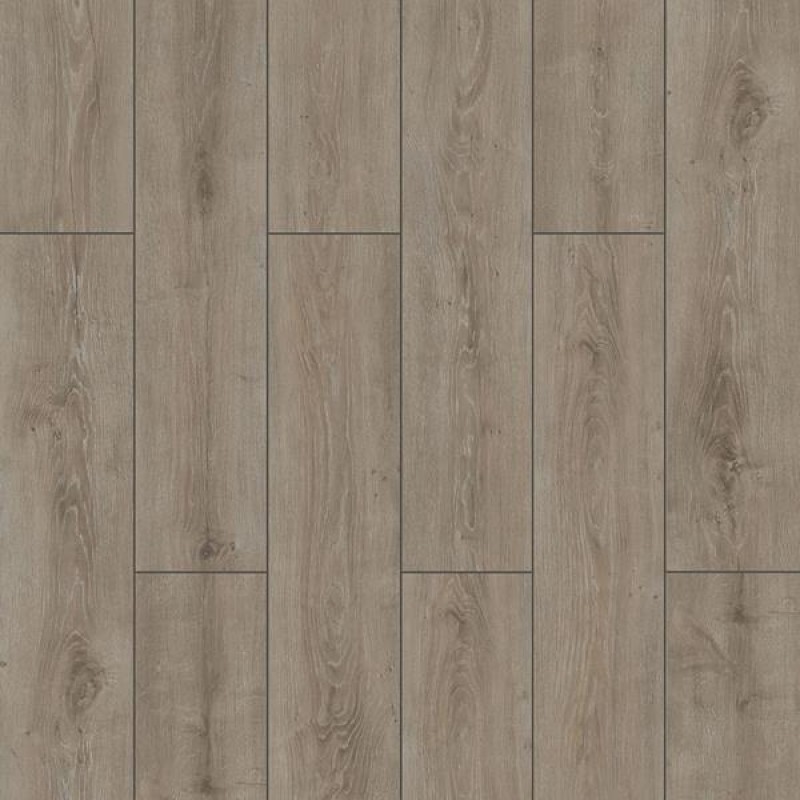 ΔΑΠΕΔΟ LAMINATE  WINGS  4V 8mm 007 PARROT NewPlan