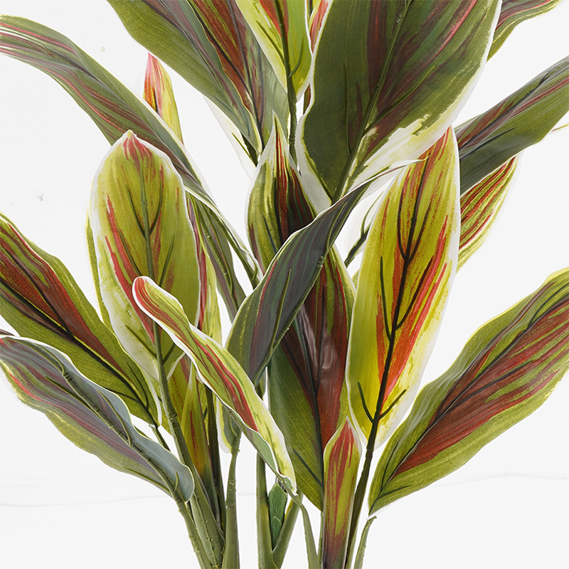 Διακοσμητικό Φυτό Σε Γλάστρα Cycas Inart Πράσινο Φ55X80Εκ