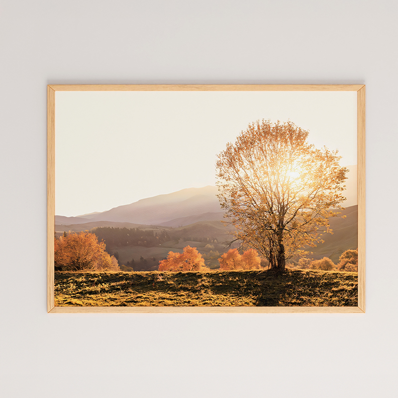 Πίνακας Vila Pakoworld Με Ψηφιακή Εκτύπωση Και Πλαίσιο 48X1.5X33Εκ