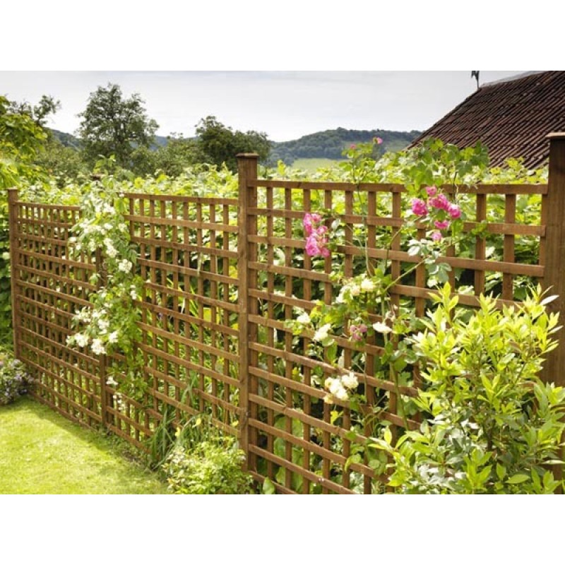 Καφασωτό Αναρρίχησης Lux (12 x 12) 60 x 180εκ.