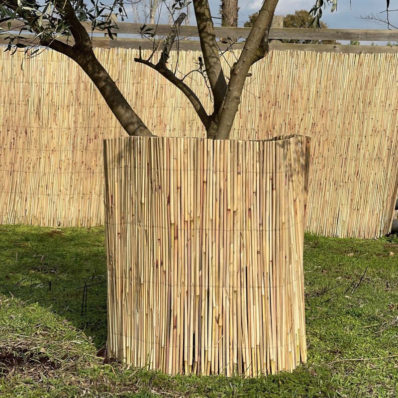 Ρολό καλάμι ελληνικό ΡΟΛΟ ΚΑΛΑΜΙ ΕΛΛΗΝΙΚΟ 8-12mm | 100(Υ) x 500εκ.