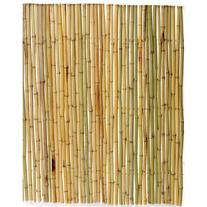 Κίτρινο Bamboo με Inox Δέσιμο BAMBOO YELLOW 25-30mm με INOX σύρμα 100(Υ) x 250εκ