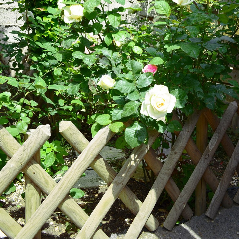 Ξύλινος φράχτης ανοιγόμενος 60(Y) x 100εκ. | πόρτα