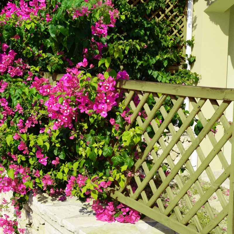 Καφασωτό Διαγώνιο (6x6) 90 x 90εκ.