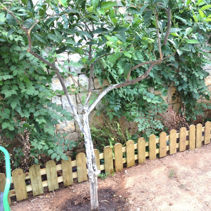 Ξύλινος φράχτης καρφωτός 30/45(Y)x107εκ.