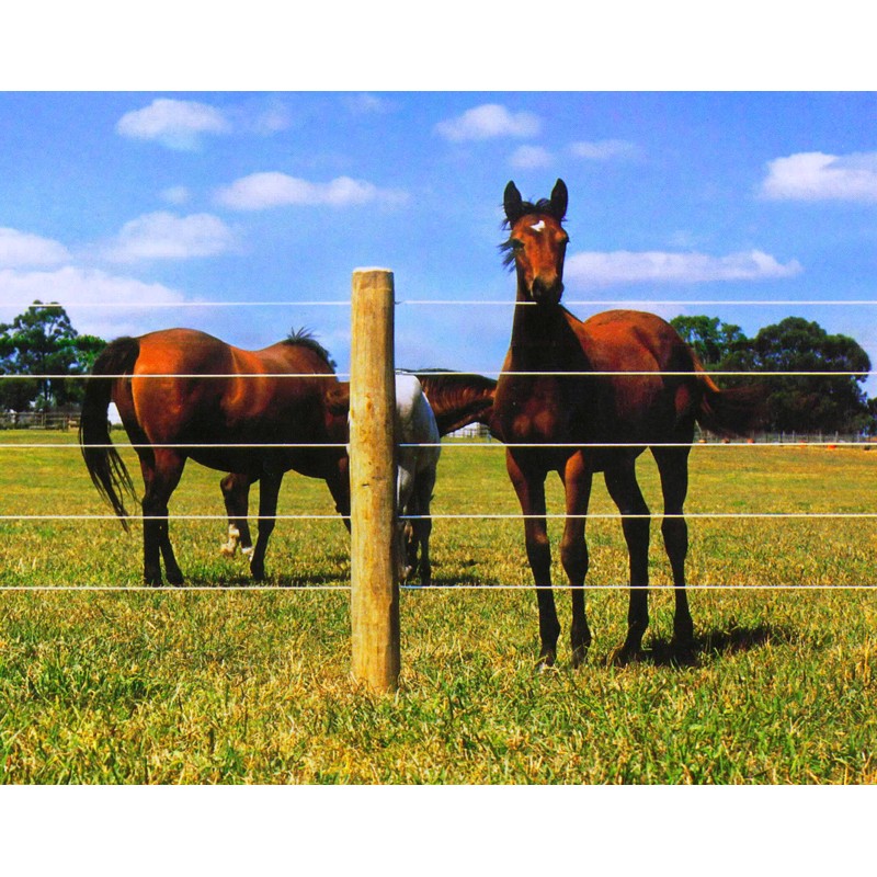 Ξύλινος πάσσαλος Ø12εκ. Ø12 x 500εκ.