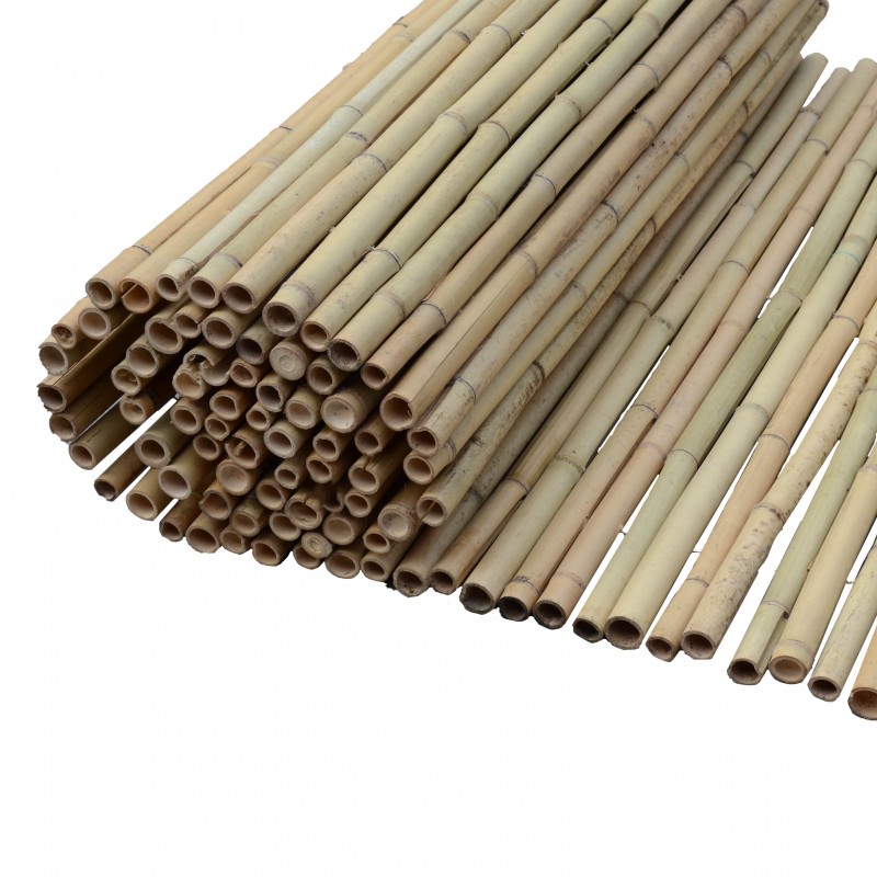 Καλαμωτή bamboo 14-20mm BAMBOO 14-20mm | 200(Υ) x 300εκ.