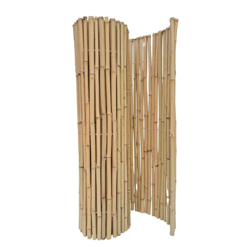 Κίτρινο Bamboo με Inox Δέσιμο BAMBOO YELLOW 25-30mm με INOX σύρμα 250(Υ) x 250εκ