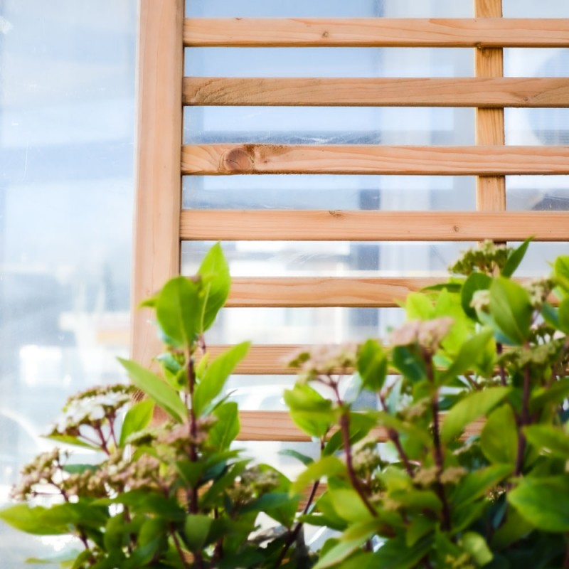 Καφασωτό Πηχάκι 180(Υ) x 100εκ.