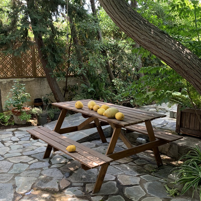 Ξύλινο τραπέζι - πάγκος πικ νικ 150εκ. Πάγκος Εξοχής 75 x 150 x 150εκ.