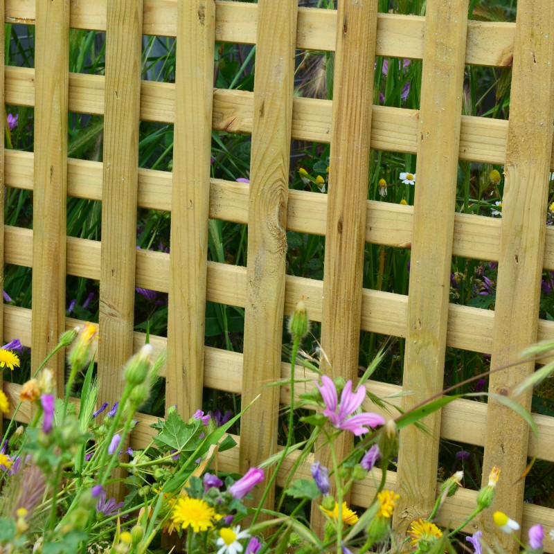 Καφασωτό αναρρίχησης  (3 x 3) 60 x 180εκ.