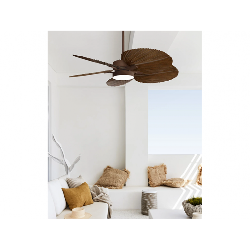 Lucci Air Bali ORB/KOA DC SKU	80210655