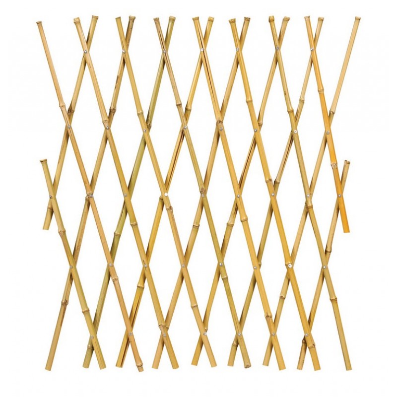Πτυσσόμενος Φράκτης Μπαμπού 120(h) x 180cm , Ø 16-18mm Κωδικός: 3232