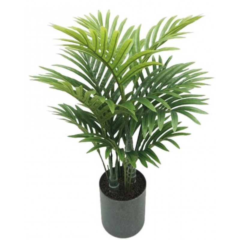 Δέντρο Κέντια Σε Κασπώ 55cm Κωδικός: 18767