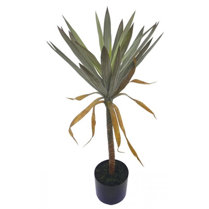 Διακοσμητικό Δέντρο Γιούκα Πανασέ Μονό Σε Γλάστρα 84cm Κωδικός: 18795