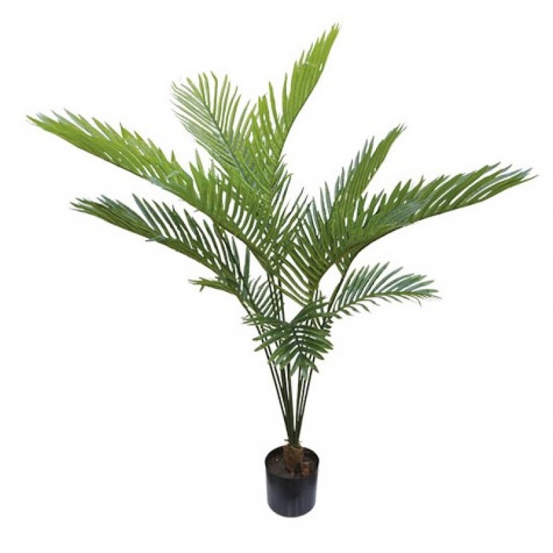 Δέντρο Πάλμα Real Touch Σε Γλάστρα 120cm Κωδικός: 18710