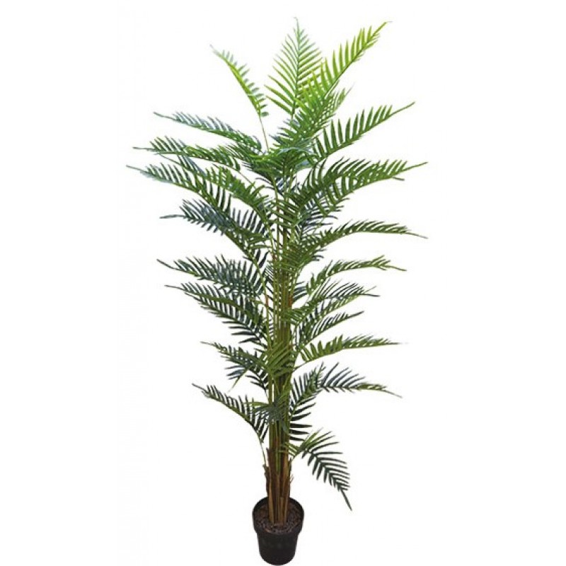 Δέντρο Φοίνικας Real Touch Σε Γλάστρα 180cm Κωδικός: 18708