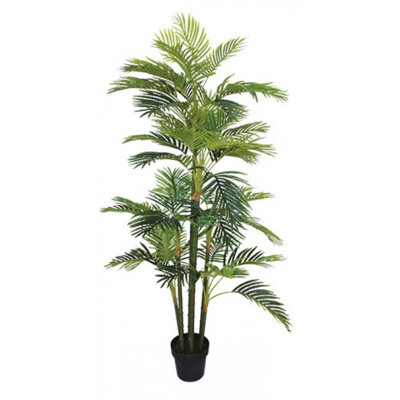 Δέντρο Φοίνικας Areca Real Touch Σε Γλάστρα 170cm Κωδικός: 18707
