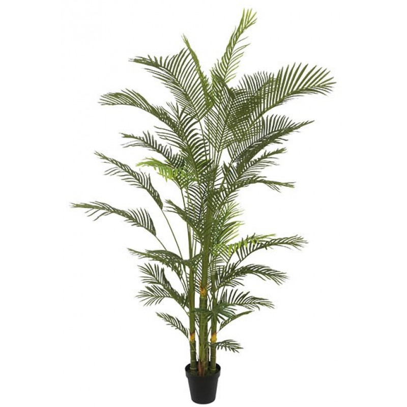 Διακοσμητικό Δέντρο Κέντια Real Touch Σε Γλάστρα 240cm Κωδικός: 21025